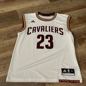 Cavaliers lebron james jersey